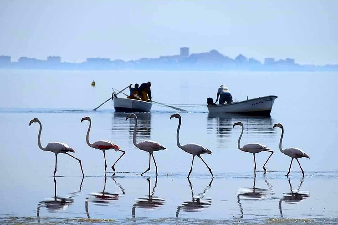 Hotel Alaska San Pedro del Pinatar Exteriér fotografie